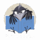 Booktera